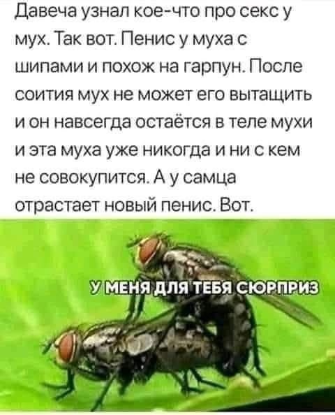 Так себе картинки 08.02.25