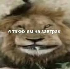В Иране лев съел своего хозяина