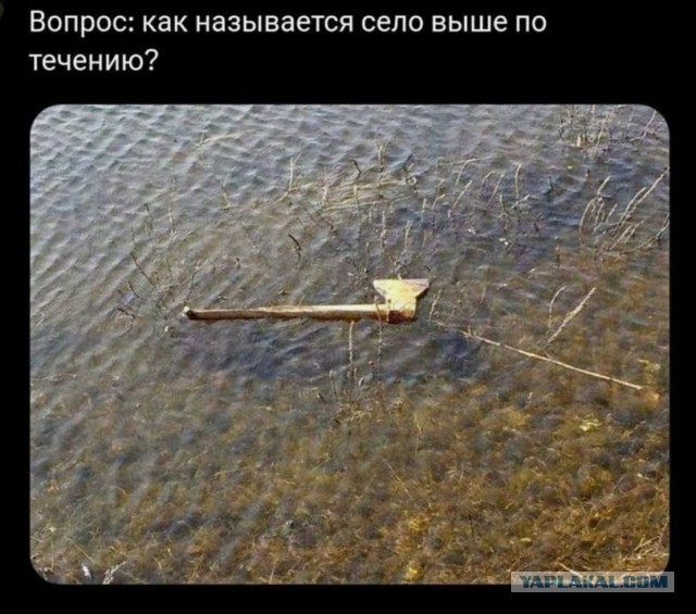 Всякой Хни вам в ленту, дорогие деграданты