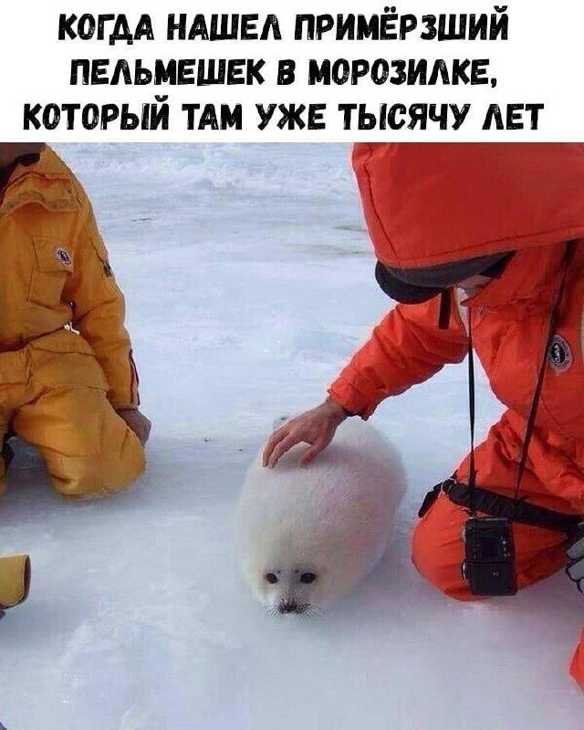 Картинки для деградации 156 (разной степени свежести)