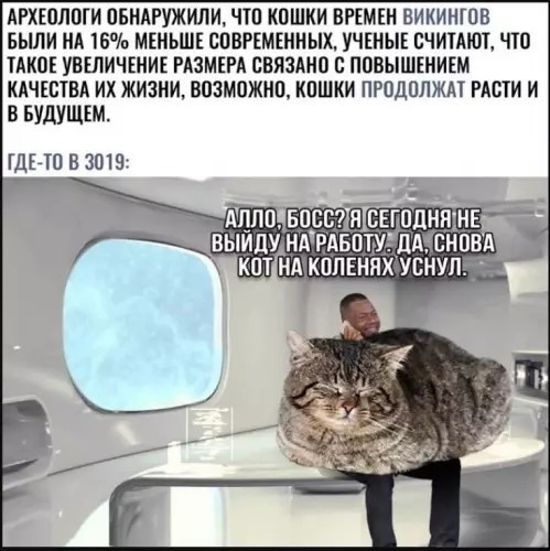 Картиночки, баянчики 07 апреля