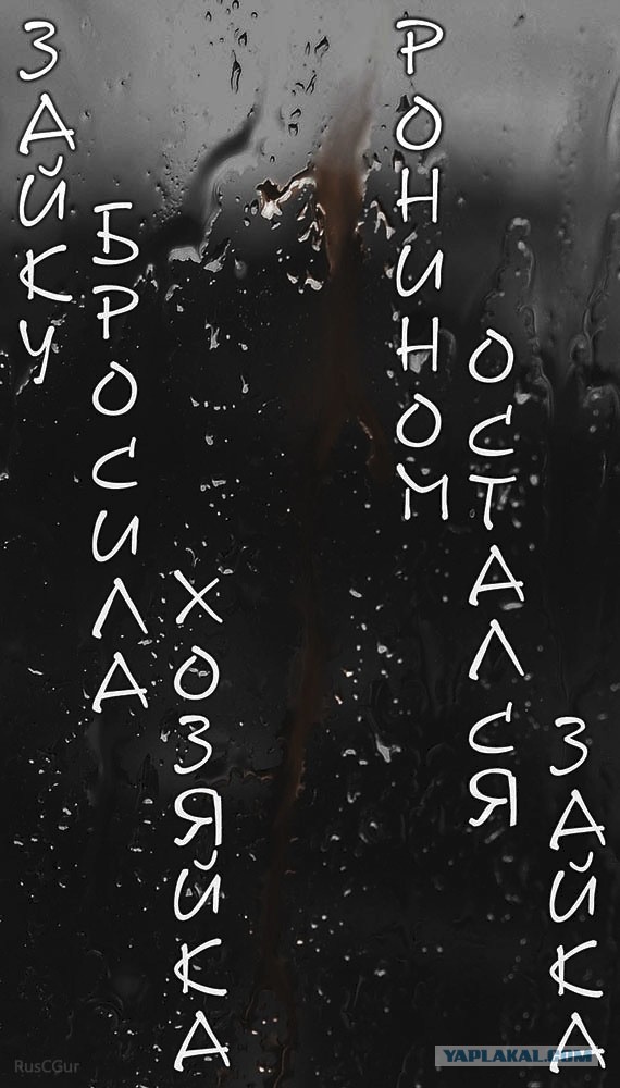 Зайку бросила хозяйка