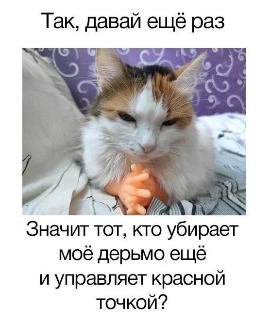 Картинки для деградации 211 (разной степени свежести)
