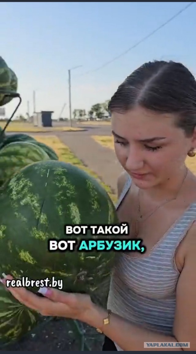 Как правильно выбирать арбуз