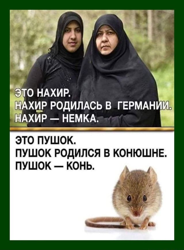 Стрельбу в Штаде устроил 45-летний немец турецкого происхождения.