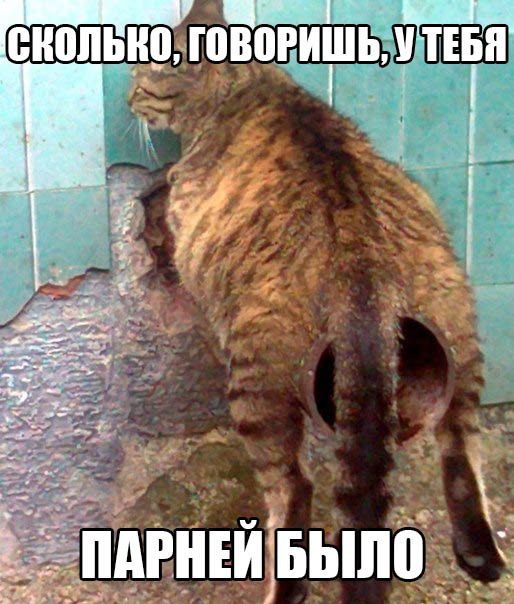 Какой вид!