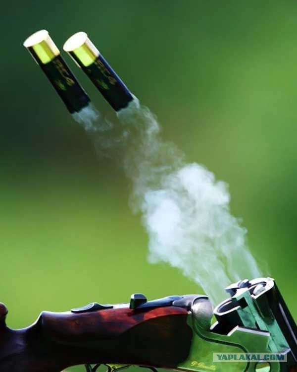 Здраствуй брат!