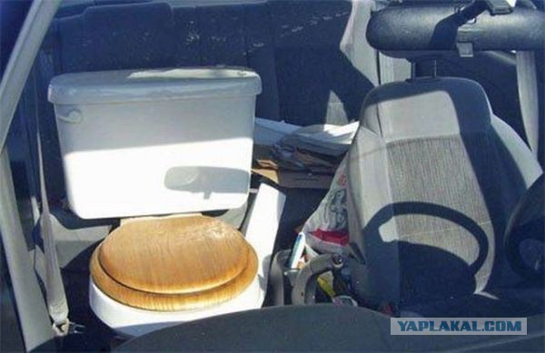 Картинки