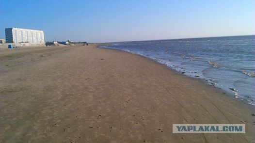Антонов, я вас любила.