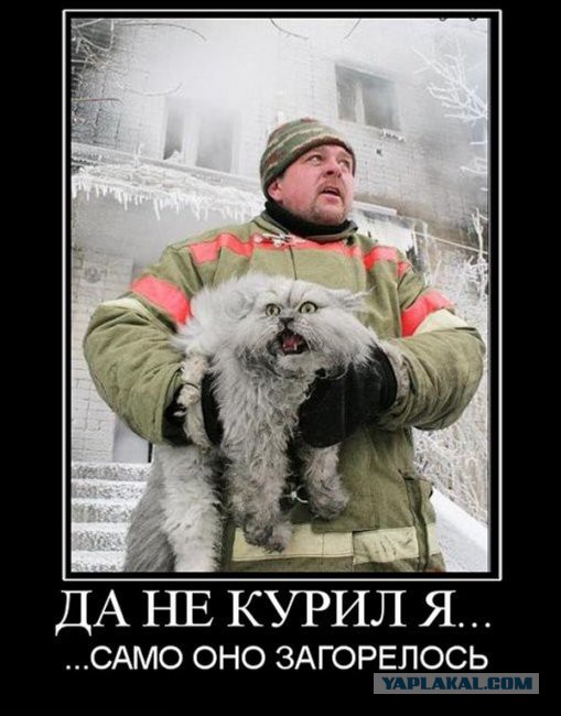 Подборка смешных картинок :)