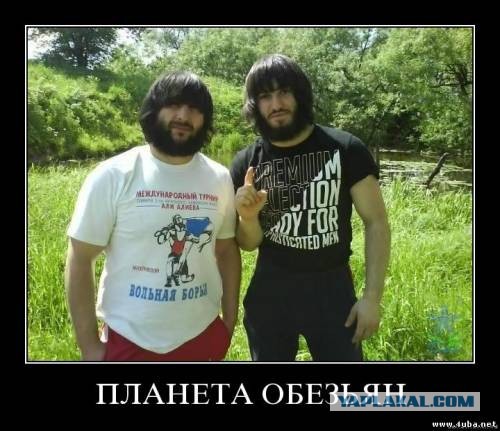 Слепая ТП за рулем и дагестанец...