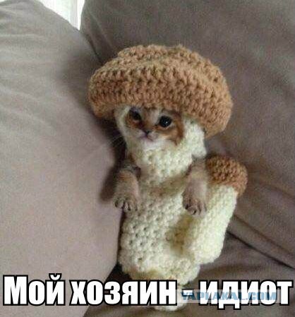 Веселые картинки