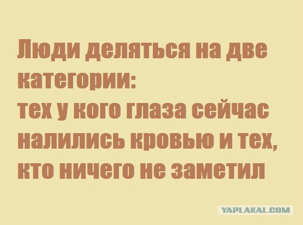 Орфография. Накипело!