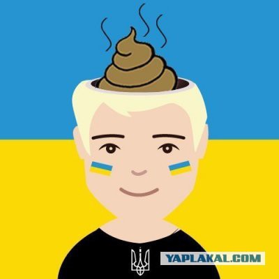 Яценюк похвастал запасом денег Украины.
