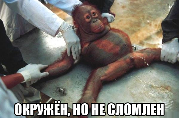 Подборка картинок из ВК