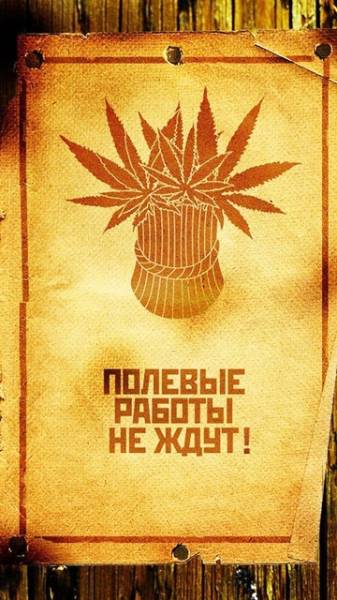 Минутка наркомании на ЯПе