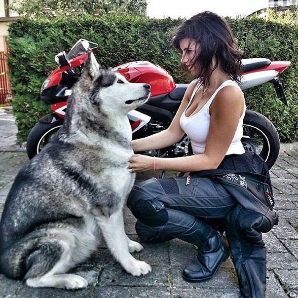 Девушки на мотоциклах