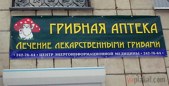 ВЫВЕСКИ, ТАБЛИЧКИ. Смешные и прикольные
