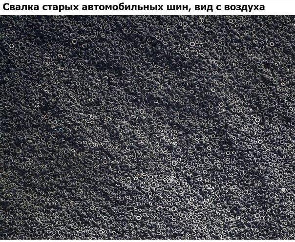 Комментарии и картинки из соцсетей