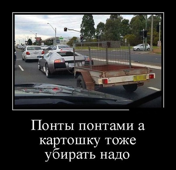 Ассорти картинок из сети