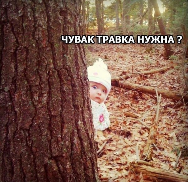 Картинок и гифок пост