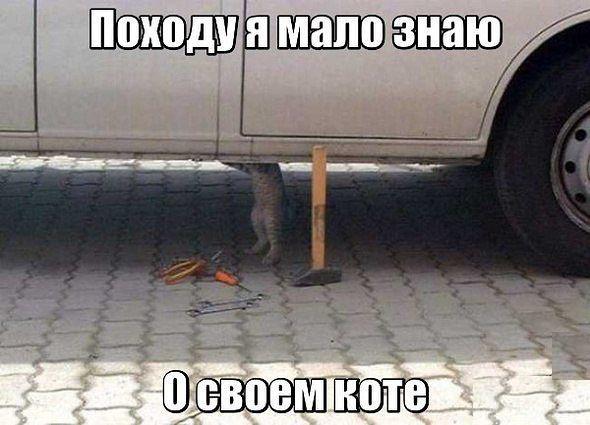 Сбитый пиксель (местами +16).