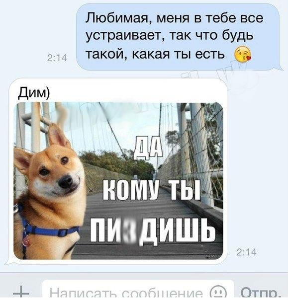 Смешные комментарии из социальных сетей 17.02.2016