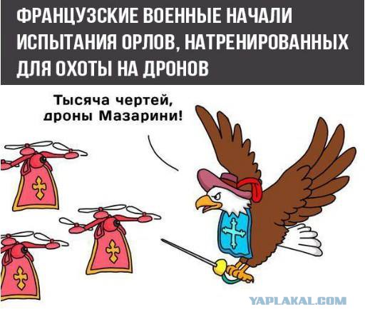 Смешные комментарии и СМС из соцсетей