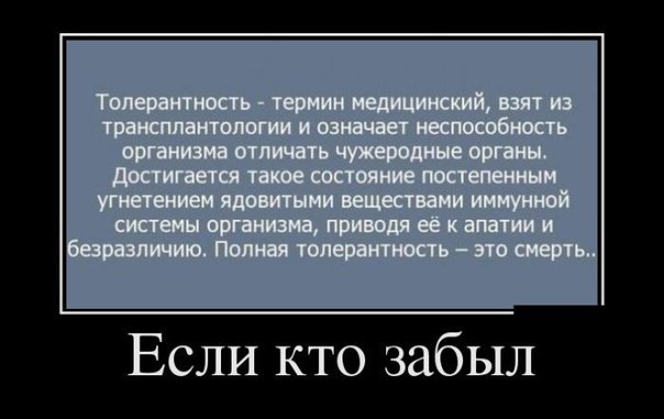 Красная шапочка о толерантности