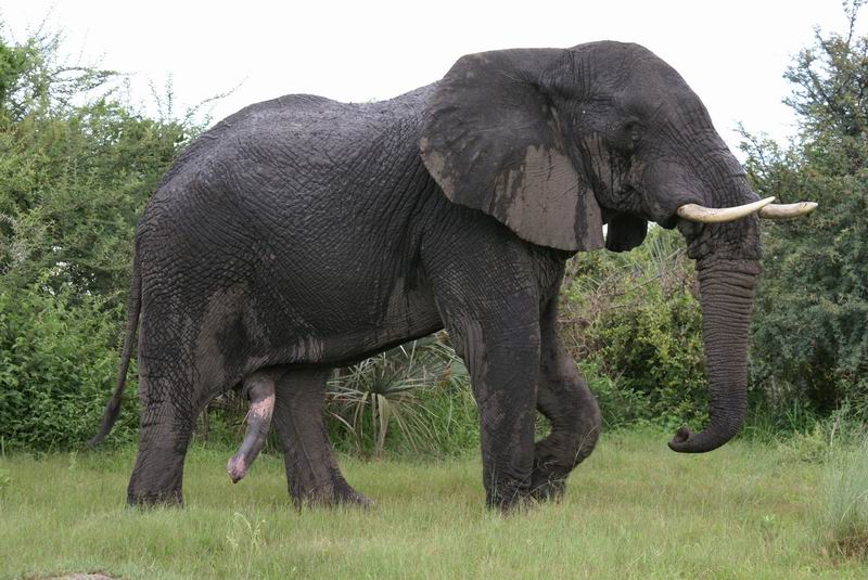 zoo