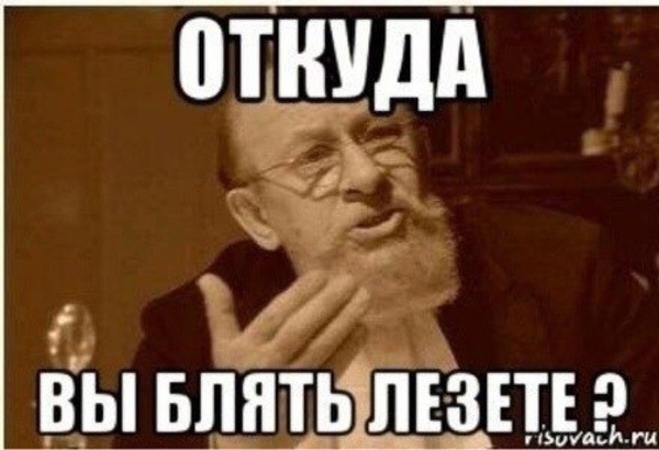 В Германии впервые за 250 лет появился зубр. Власти испугались и застрелили его