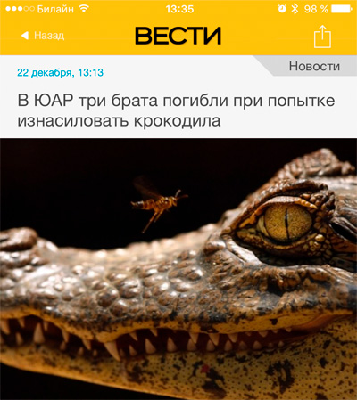 Немного картинок с веселыми надписями