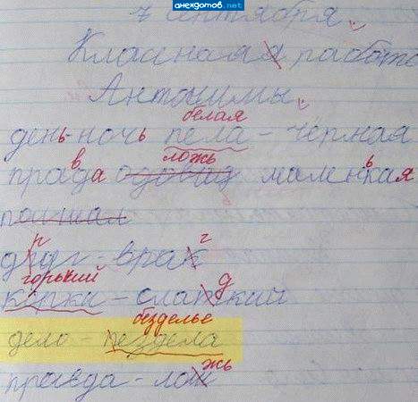 Подборка интересных и веселых картинок