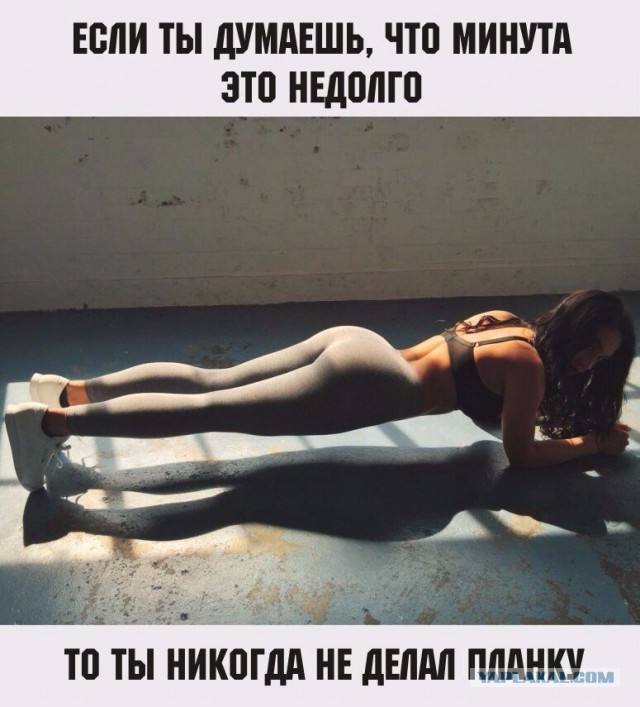 Подборка интересных и веселых картинок