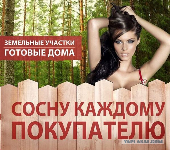 20 лучших примеров сексуальной рекламы