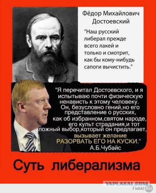 За что ненавидят либералов.