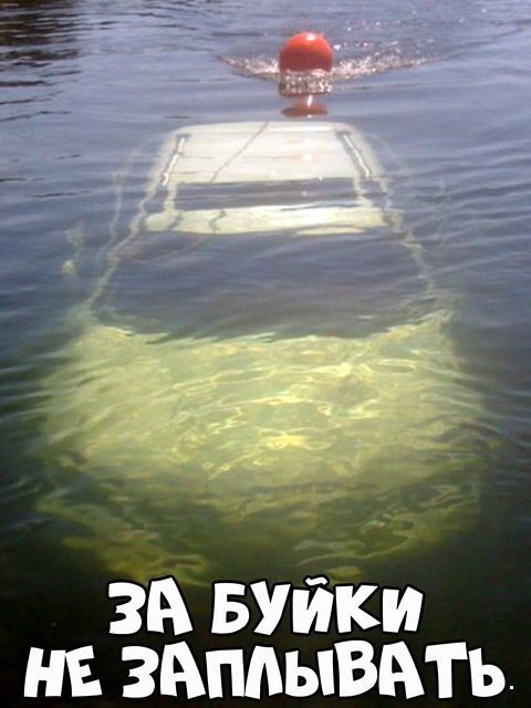 Прикольные картинки обо всем