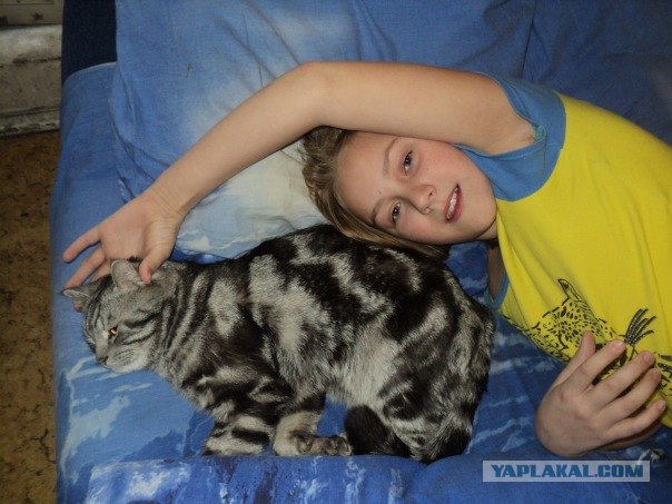 Это у котов-то эмоций не бывает?!