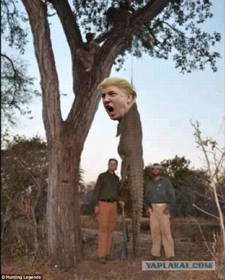 Жестокие и зверские сафари сыновей Дональда Трампа