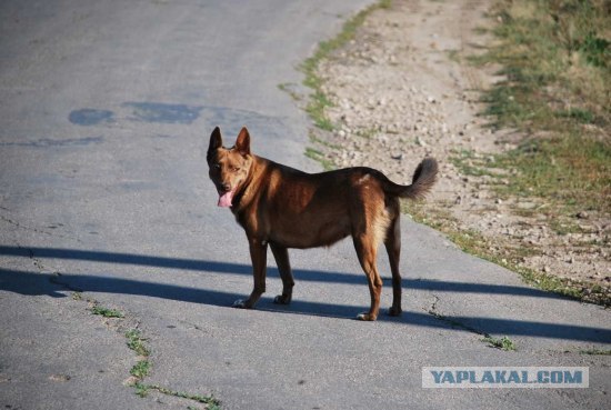 Что-то жарко сегодня...