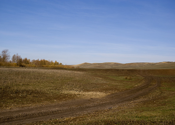Красота сельских дорог