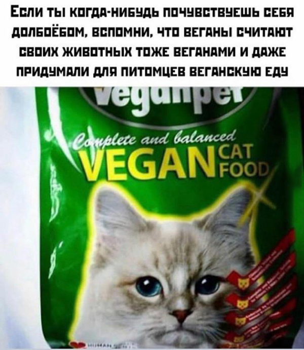 Картинки разные и не очень