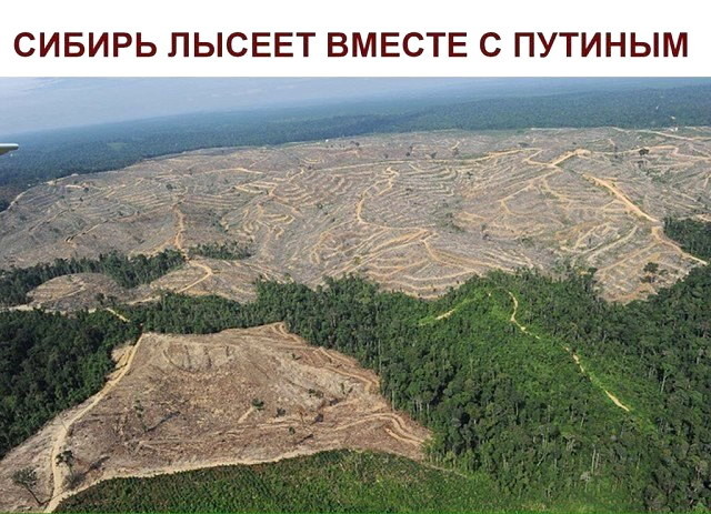 Дорога в поднебесную