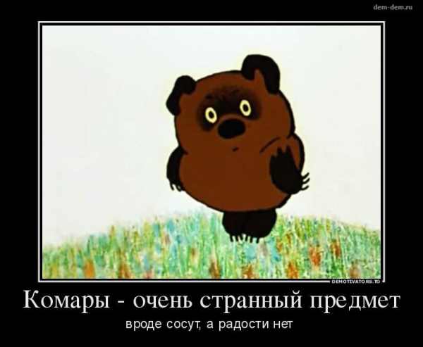 Чем самка комара отличается от самца