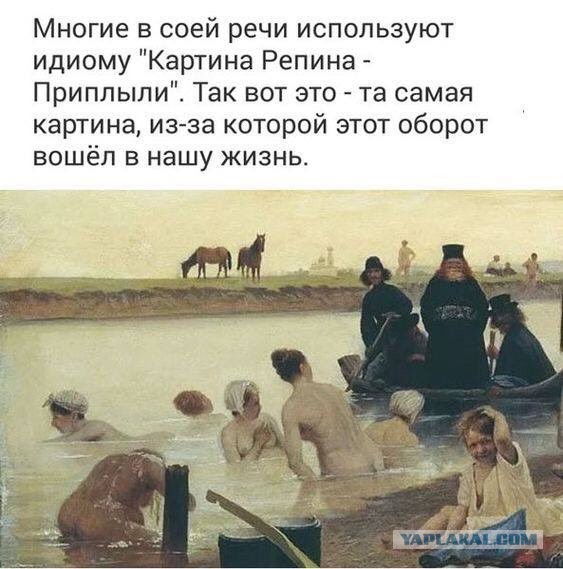 Чуток картинок 15.07.19