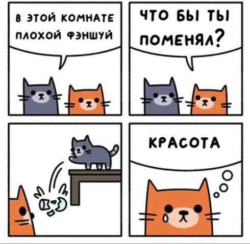 Бредзона 10.11.19