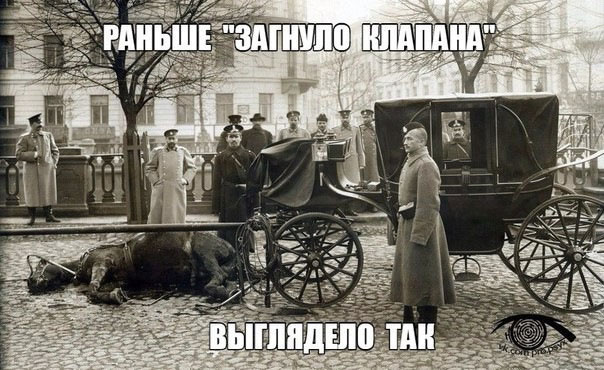 Немного картинок для настроения 11.12.19