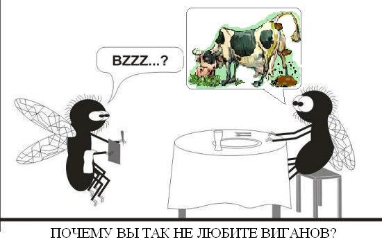 Фотожаба: веселые картинки