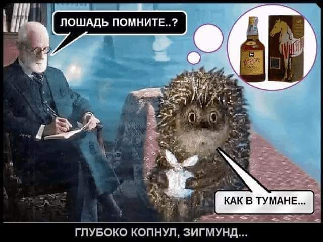 Немного картинок для настроения 20.06.20