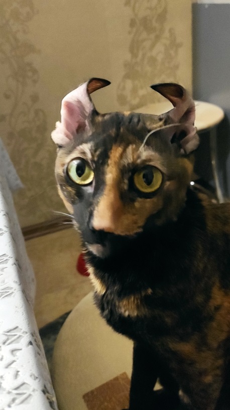 Няшка